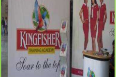 Kingfisher Activity